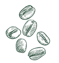 Beans