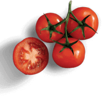 Tomatoes