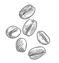 Beans